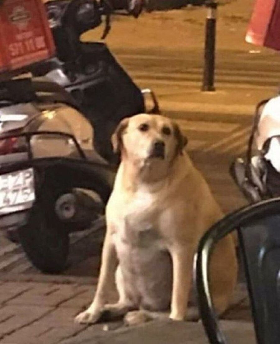 Yemeği fazla kaçırınca hissettiğim şişkinlik