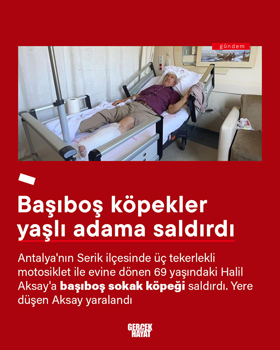 Köpek saldırısı: Yaşlı adam yaralandı