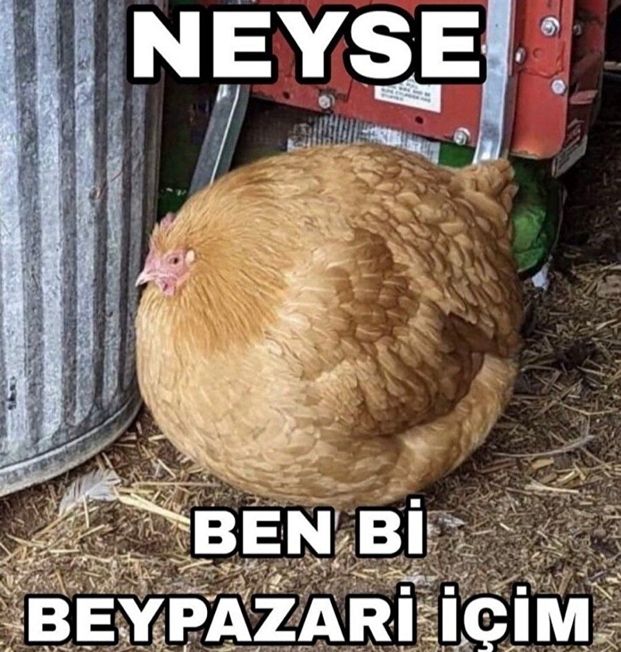 Ne eksik ne fazla tam olarak buyuz