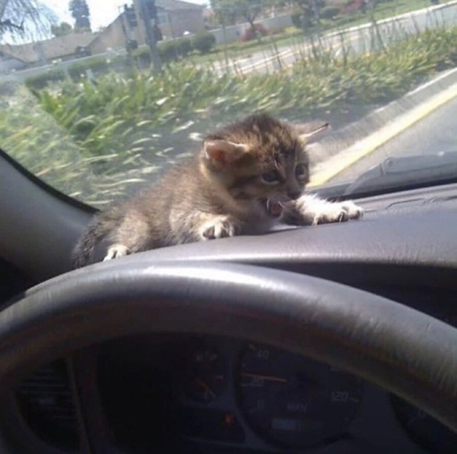 20 ile giderken yanımda oturan annemin verdiği tepkiler