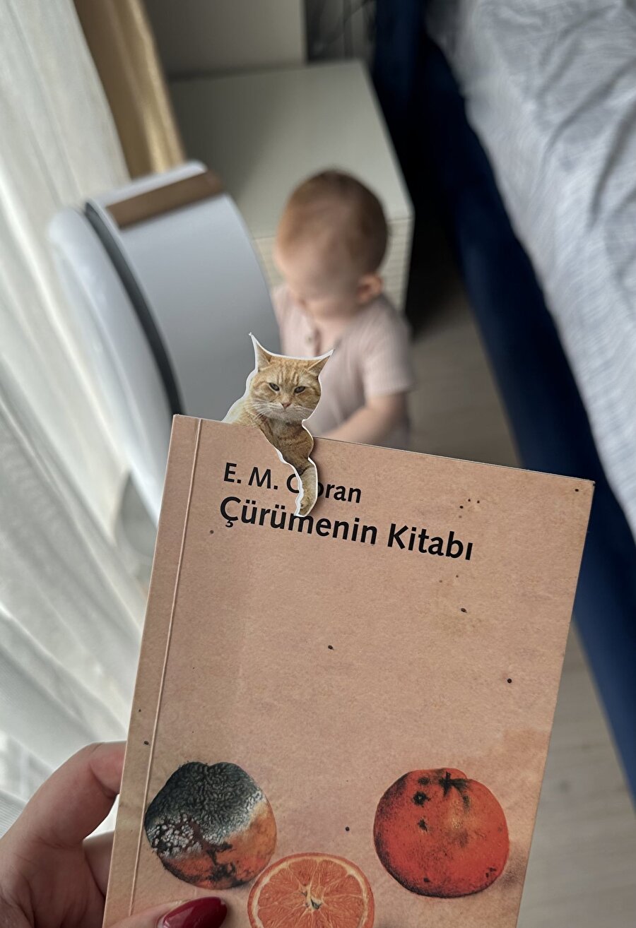 Acil linkini alabilir miyiz?