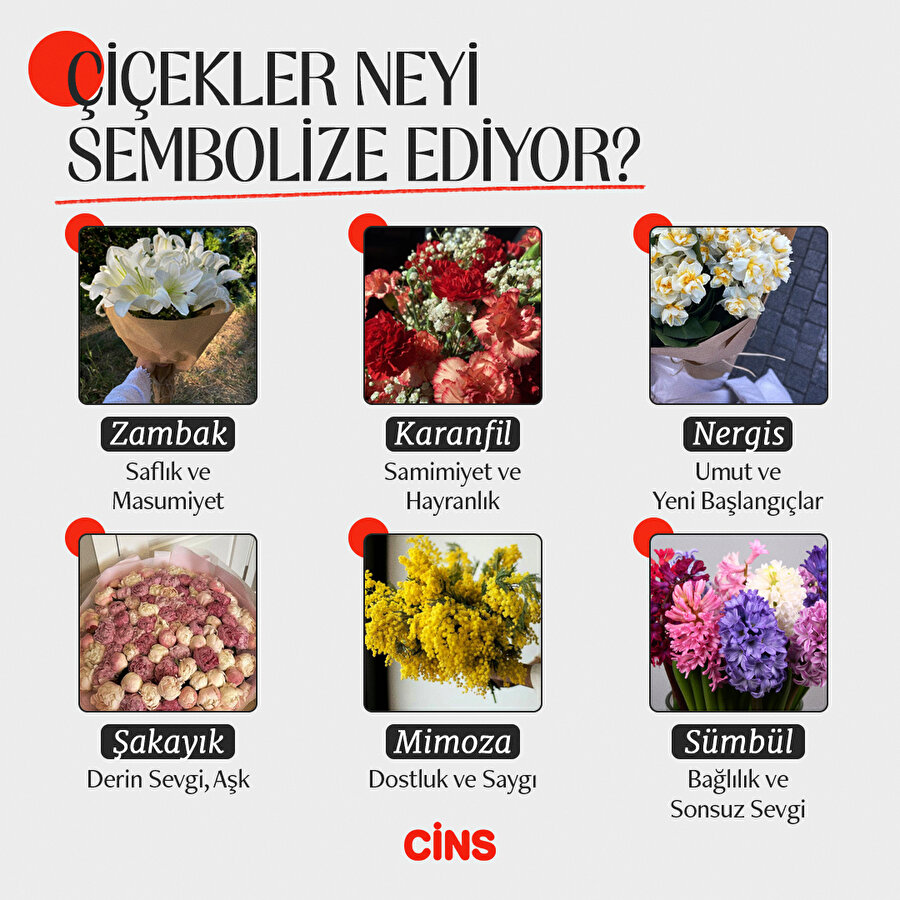 Çiçeklerin anlamları