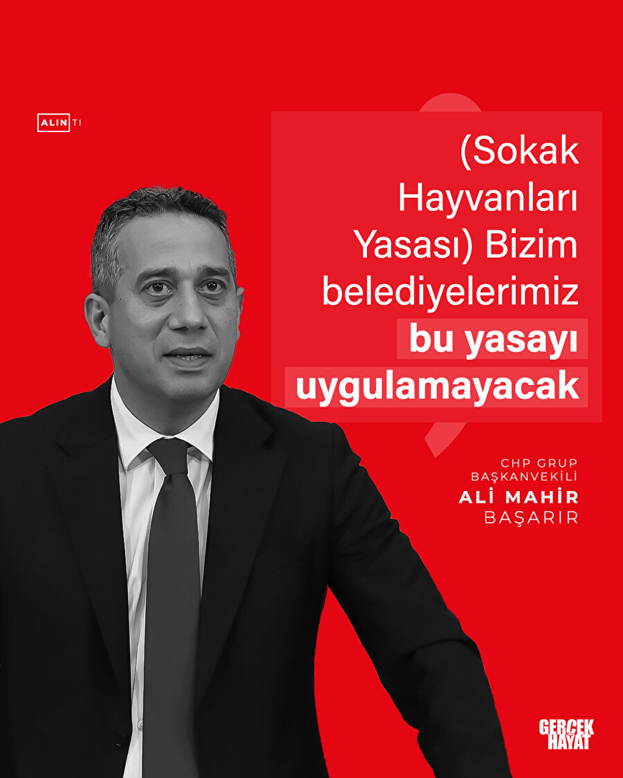 CHP sokak hayvanları yasasını uygulamayacak