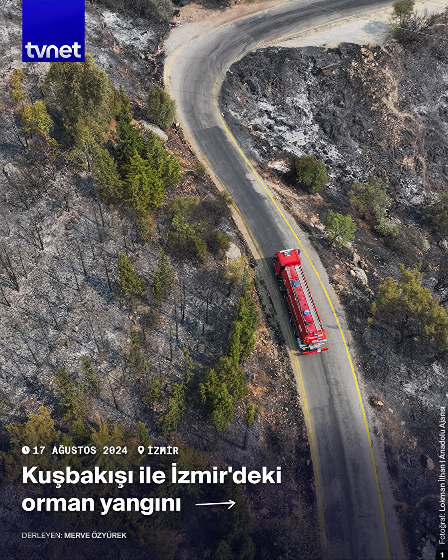 İzmir'de yangının etkilediği bölgelerin kuşbakışı görüntüleri