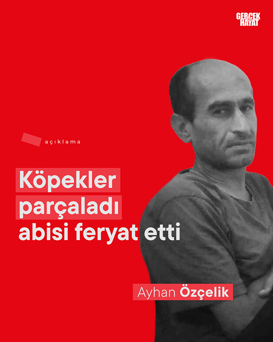 Çöpçüler olmasaydı köpekler sabaha kadar yiyecekti