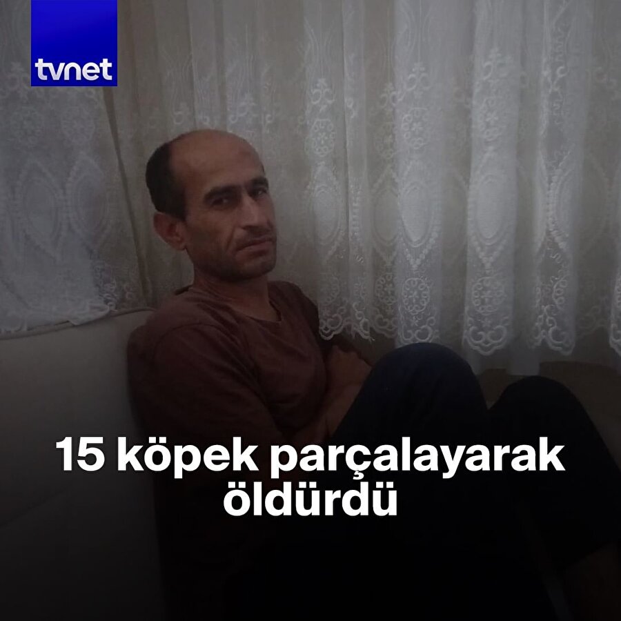 Başında köpeklerle bulundu