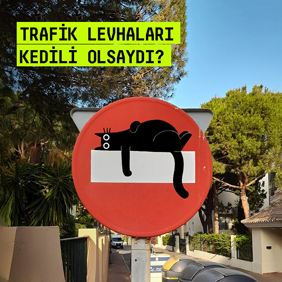  Trafik levhaları kedili olsaydı? 