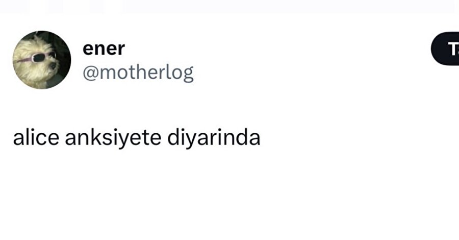 Bizim hayatı anlatan masallar