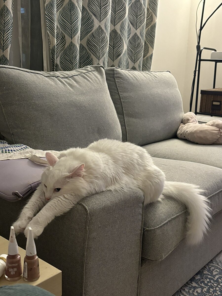 Süslü ve farkında