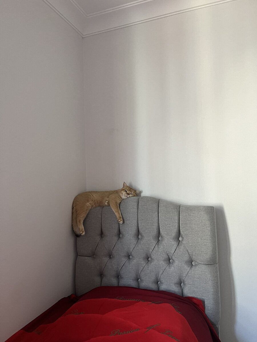 Zirve tek kişiliktir