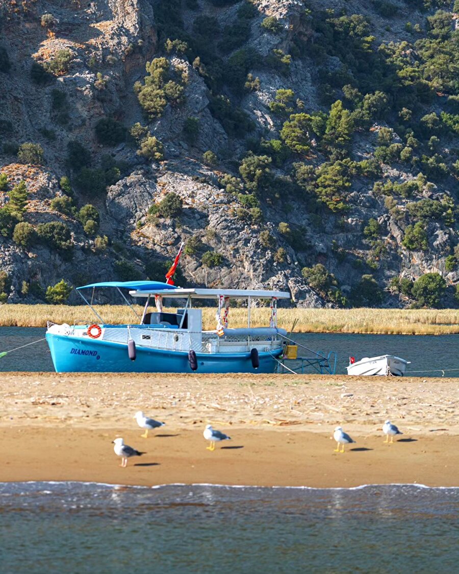 Eşi benzeri olmayan muhteşem bir coğrafya: Dalyan✨