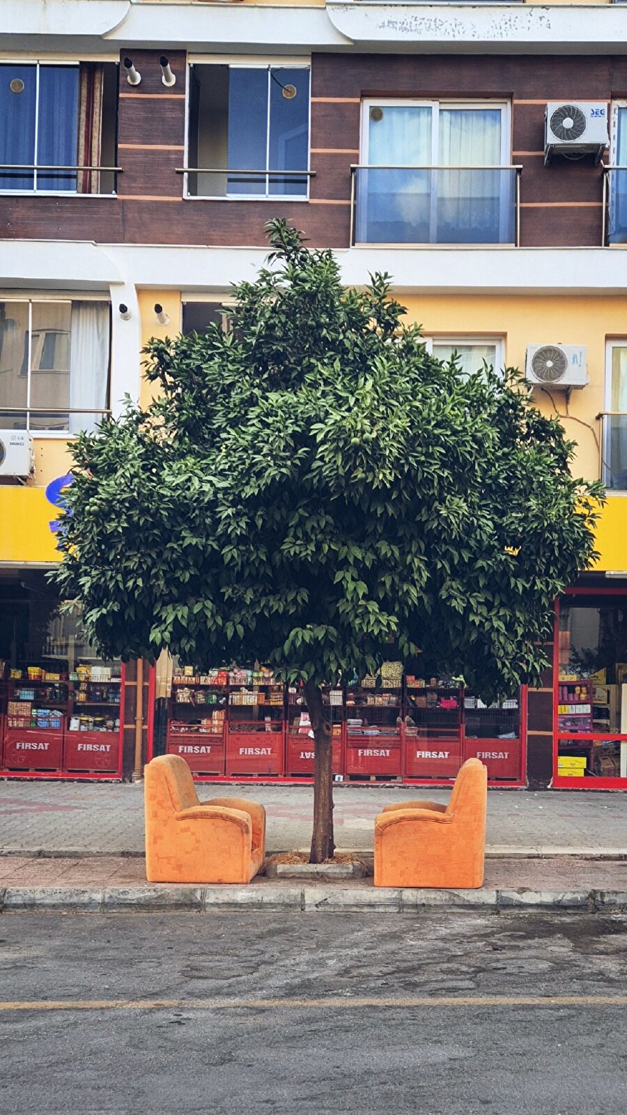 Şurada edilen muhabbetlere ihtiyacımız var