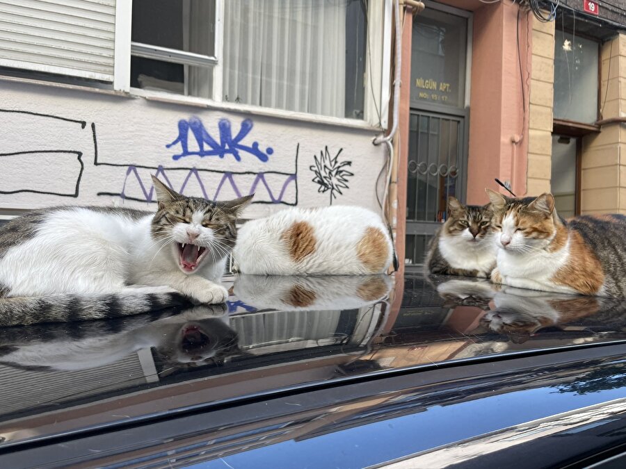 Biriyle tartışırken araya başkası girince hissettiğimiz sinir seviyesi