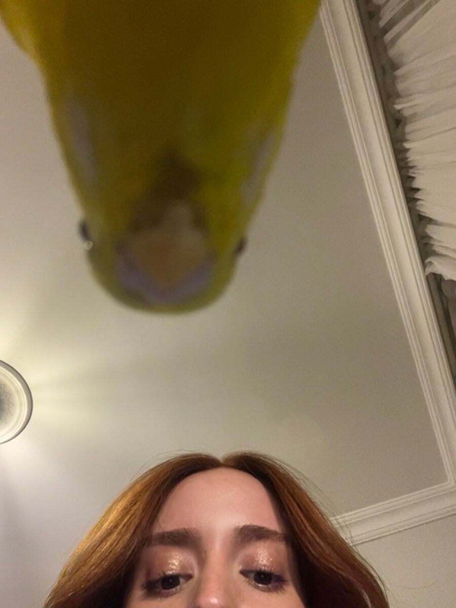 Mesajları sadece sen okuyorsun değil mi?