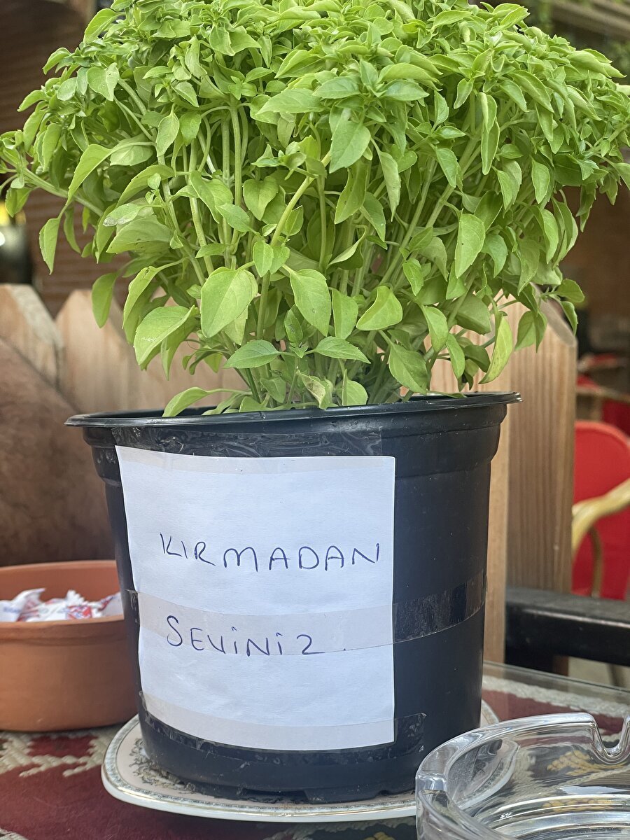 Alnıma asacağım o uyarı