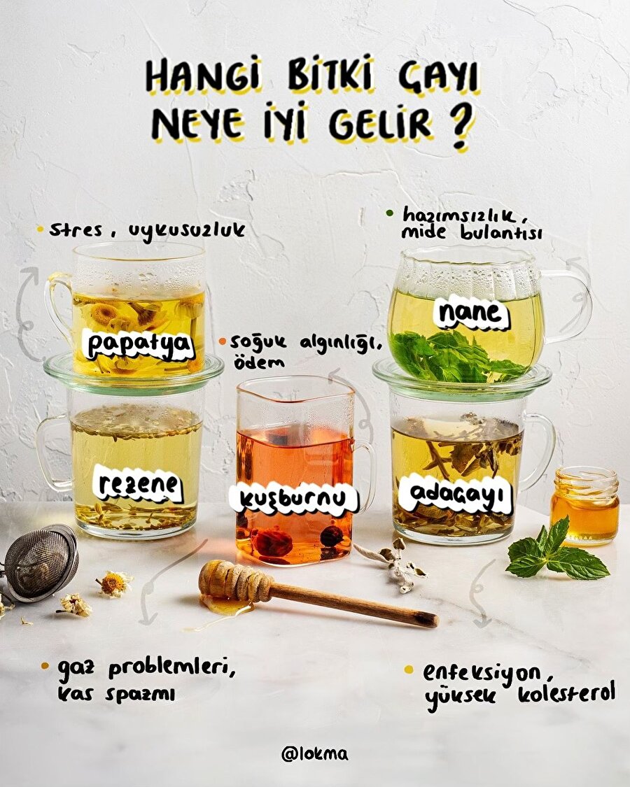 Hangi bitki çayı neye iyi gelir?