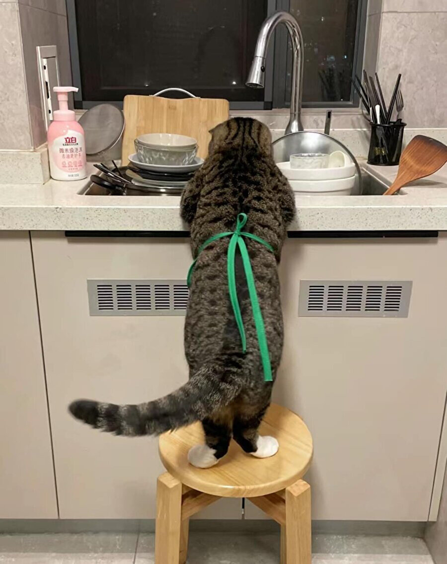 Mama parasını çıkarmaları için tam da böyle bir şey gerekliydi