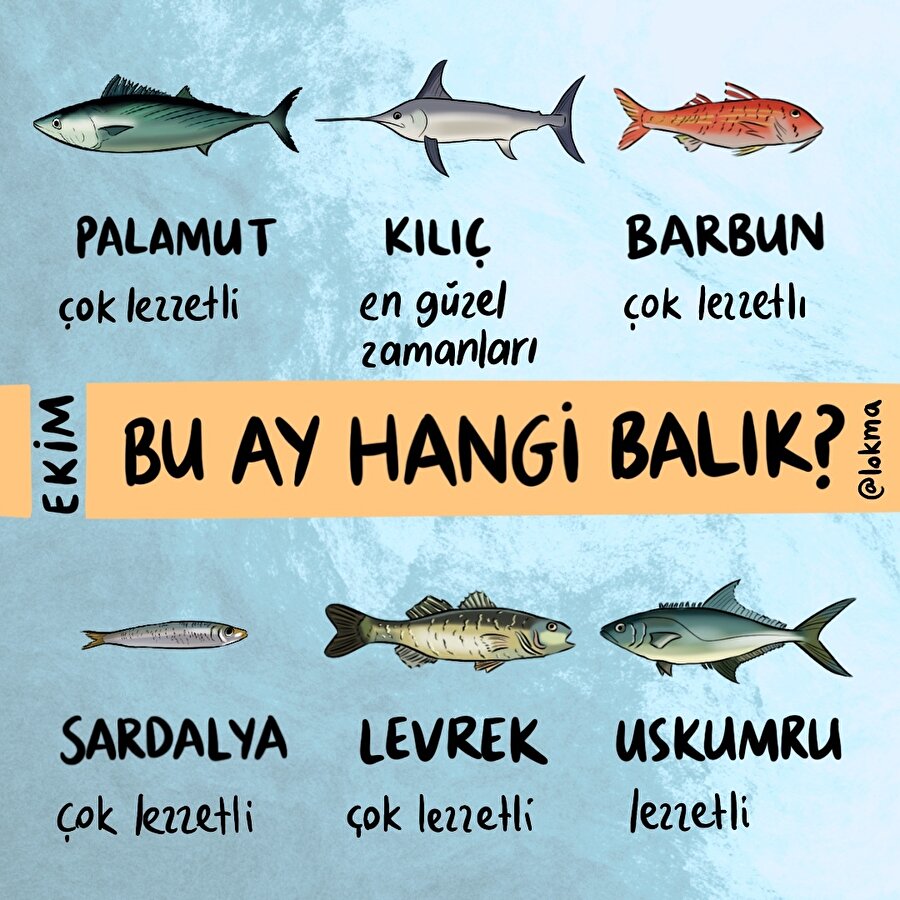 Bu ay hangi balık?