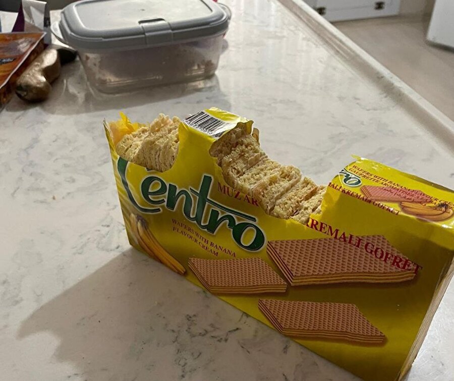 Bizim açlık seviyesi