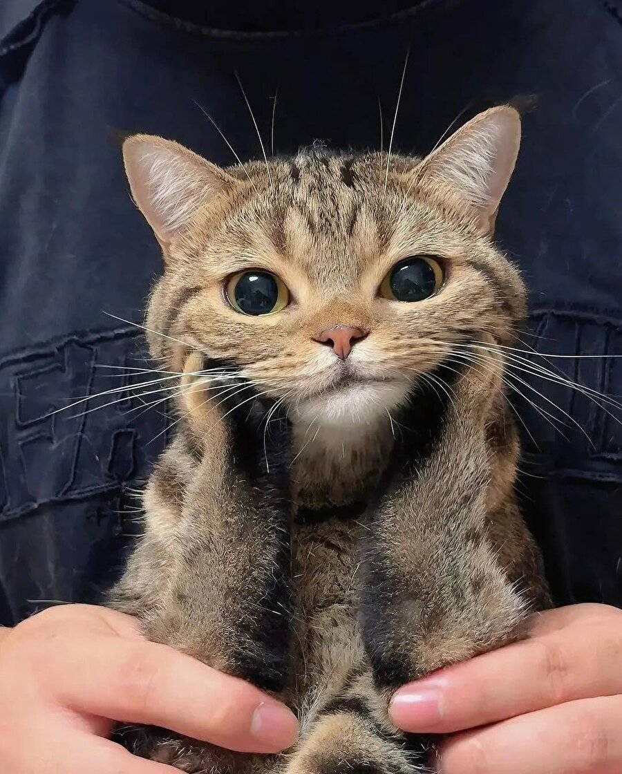 *Kargonuz yola çıkmıştır* Ben: