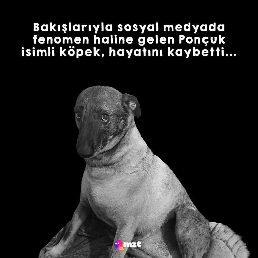 Mizaha yön veren Ponçuk hayatını kaybetti
