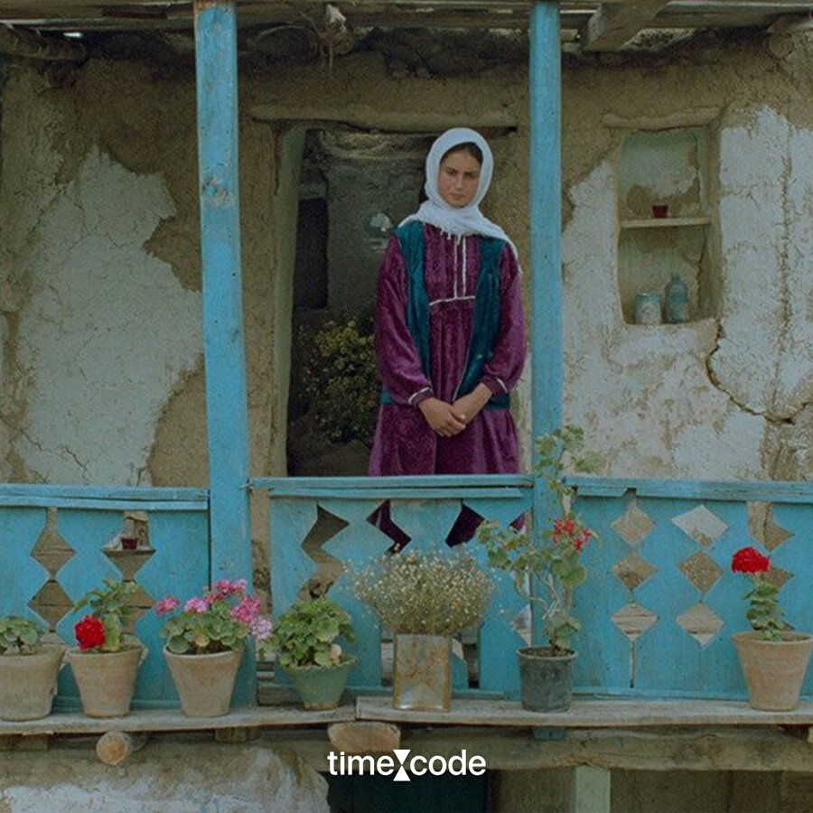 Zeytin Ağaçları Altında