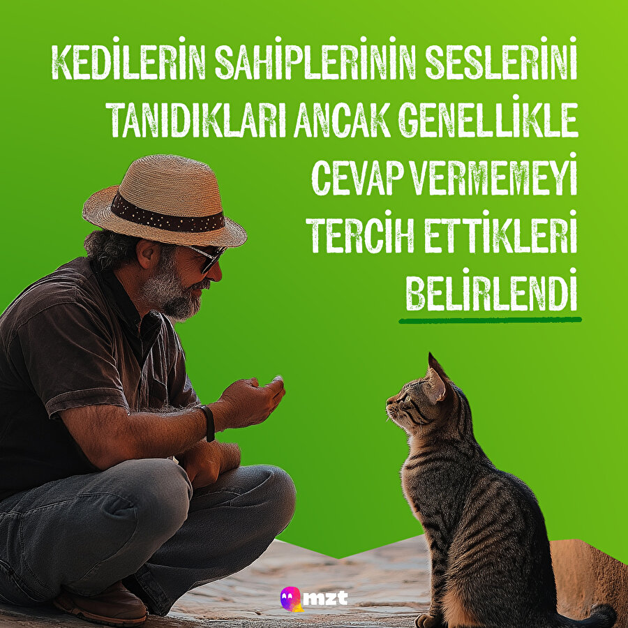 Umursanmıyormuşuz