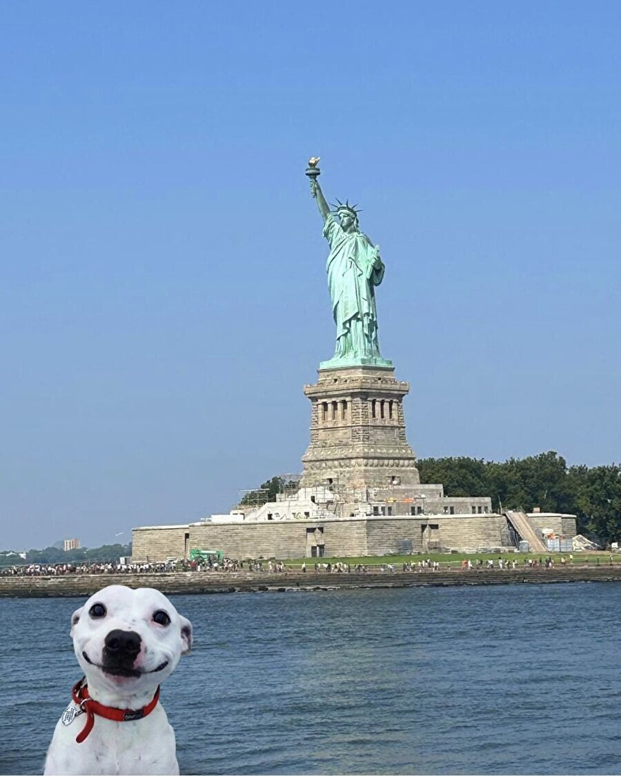 Daha iyisi gelene kadar dünyanın en iyi selfiesi