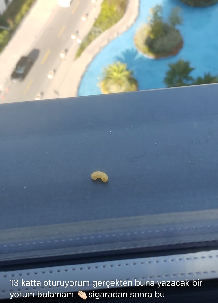 Papatya çayının sakinleştirmesini beklediğim sinirim