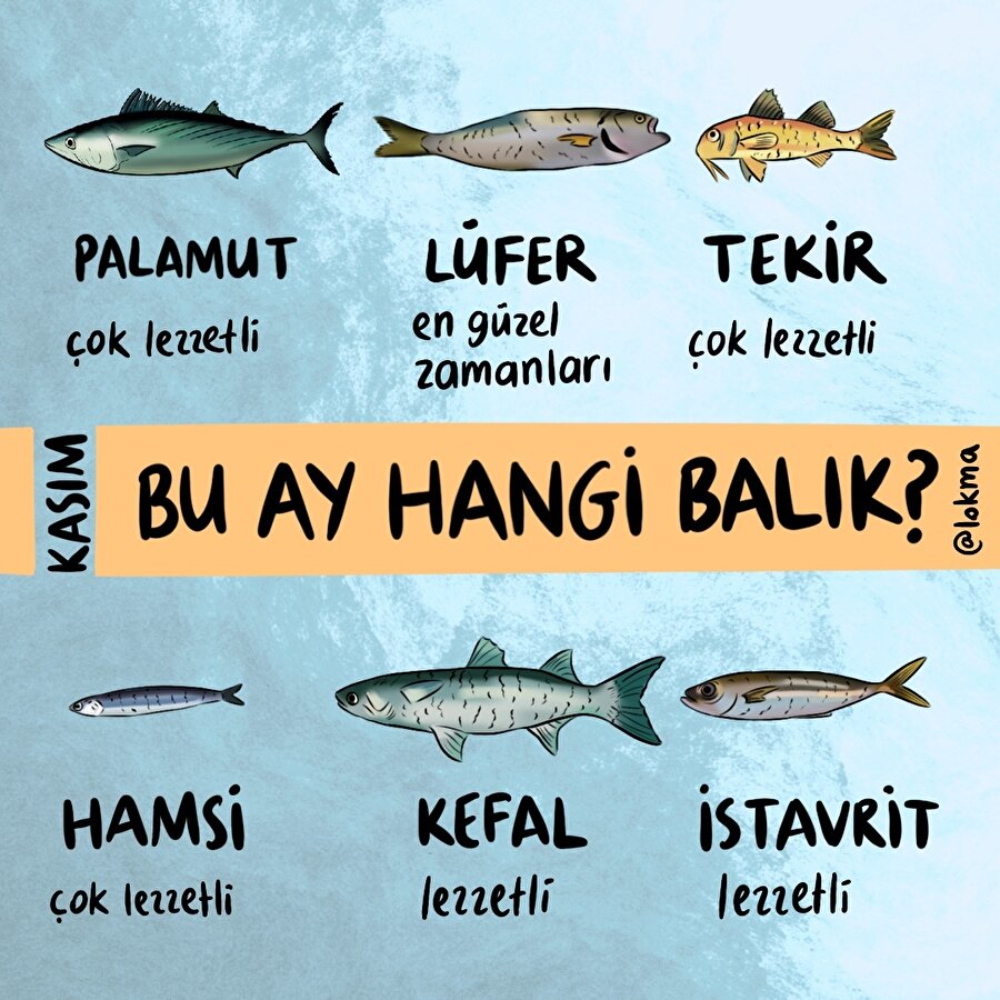 Bu ay hangi balık?