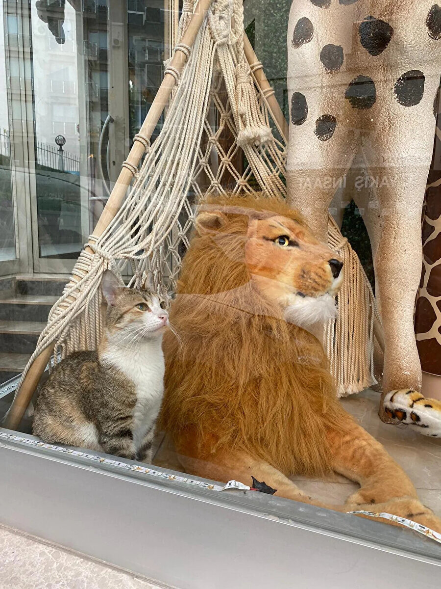 Ben ve beni her koşulda savunan arkadaşım