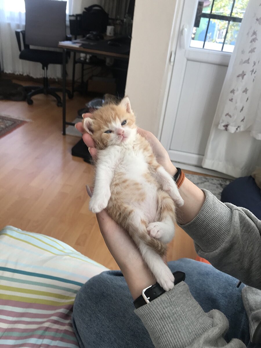 Kahve siparişi verirken sütü laktozsuz istemeyi unuttuktan sonra hissettiğim şişkinlik