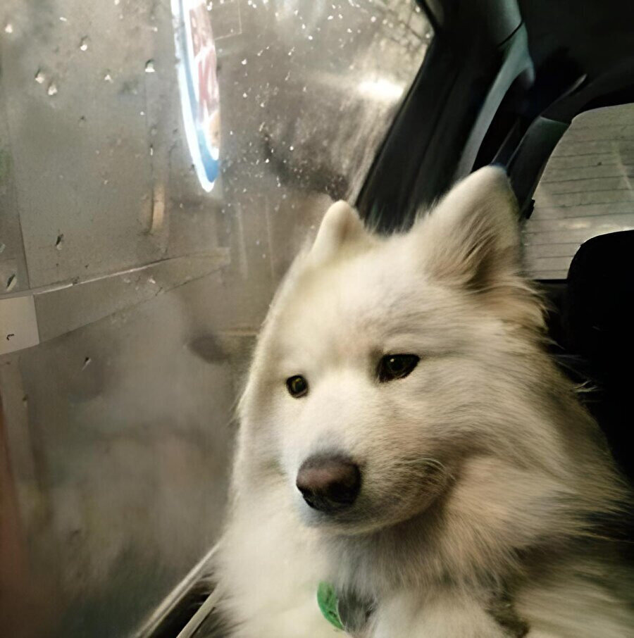 Uzun yolculuklarda ben