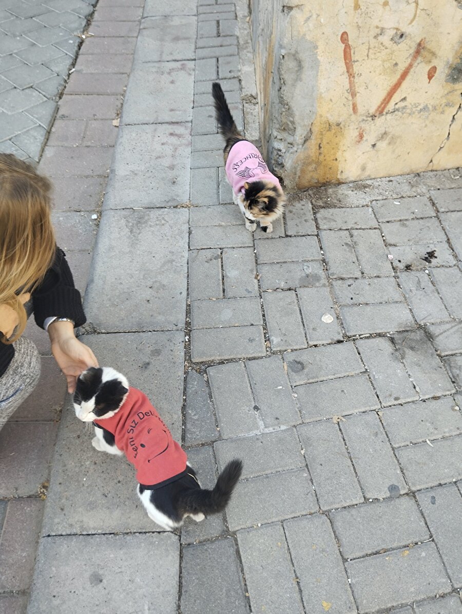 Beni siz delirttiniz!