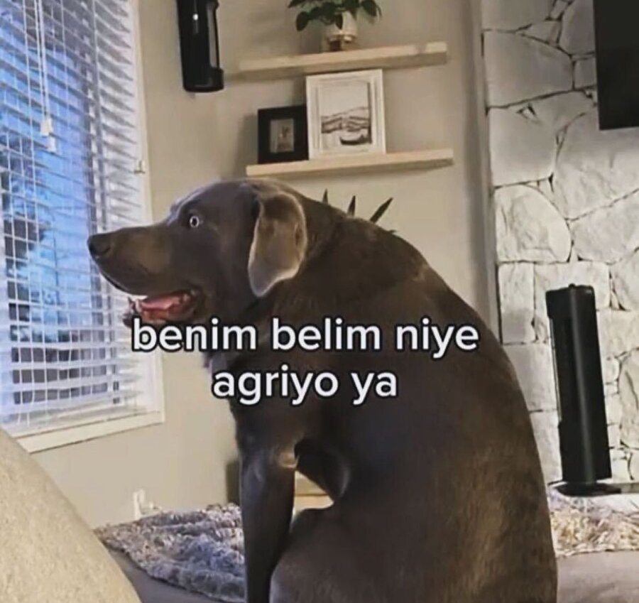 Gün boyu bizim pozisyon