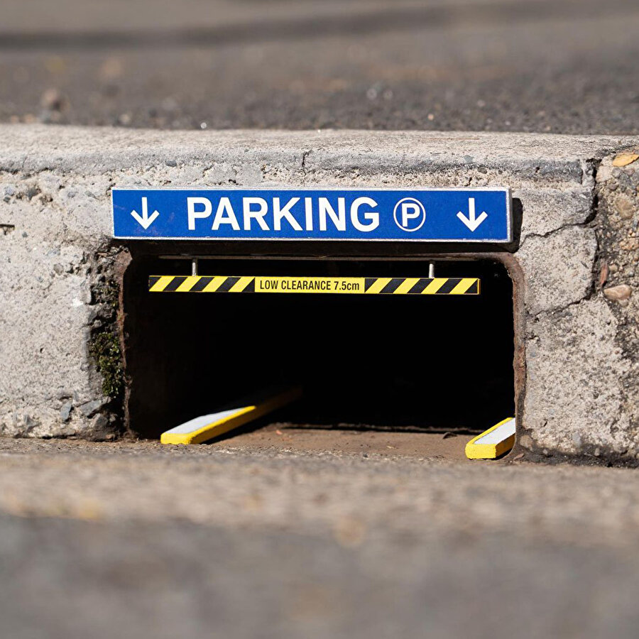 Hayal gücünü aşan detaylar: Sidney'in mizahi sanat dünyası ✨