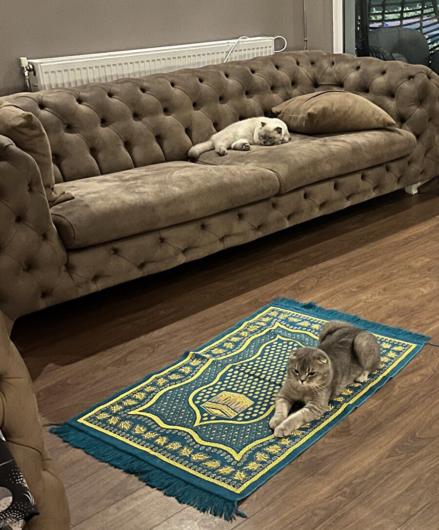 İki farklı karakterler