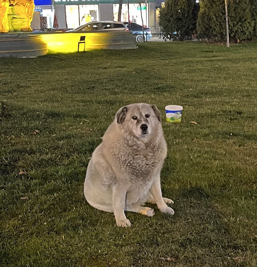 Yemek yediğimiz zaman hissettiğimiz şişkinlik