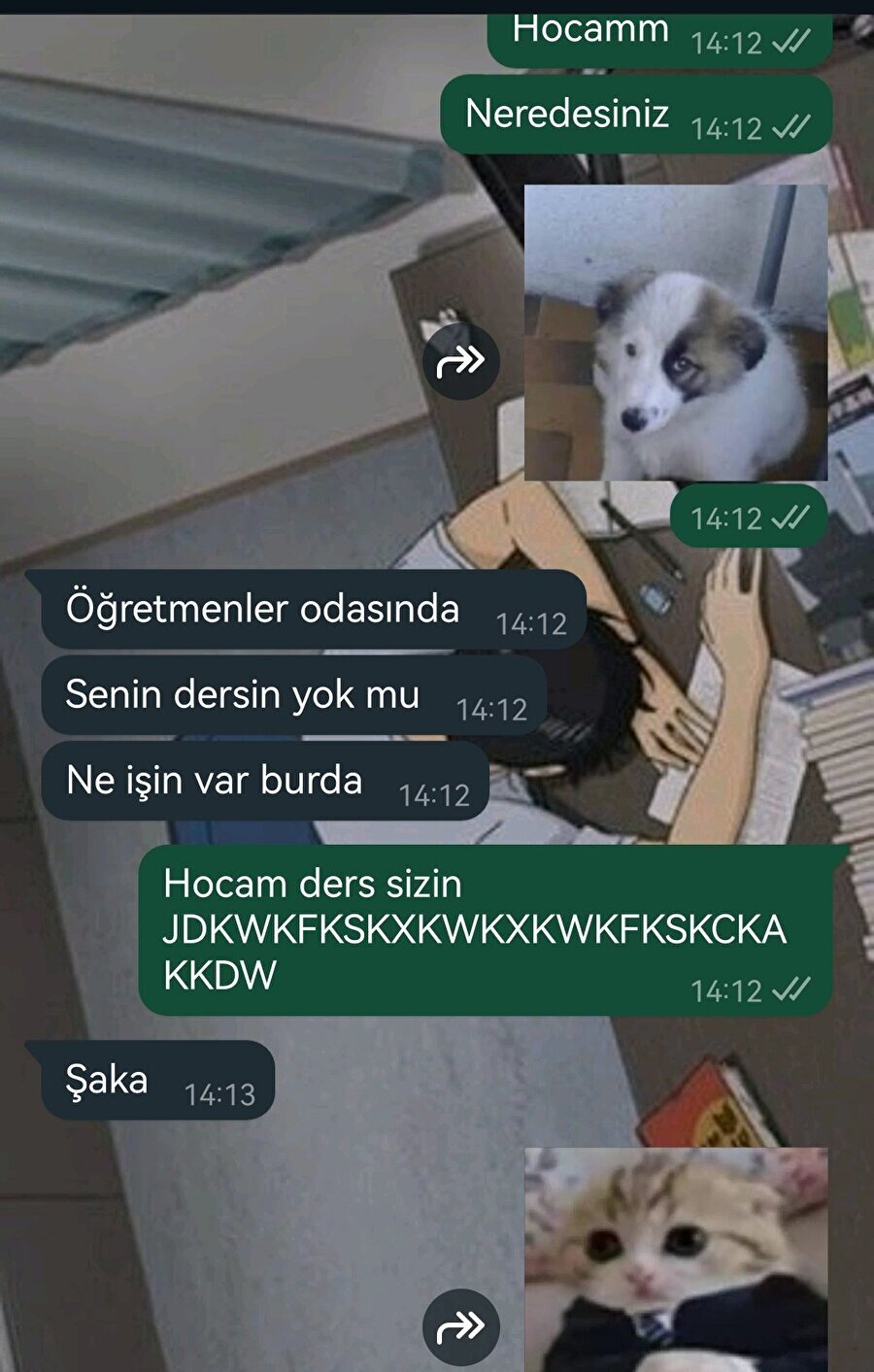 Öğretmen olursak diyelim
