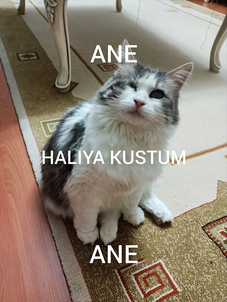 Travmalarımız tetiklendi