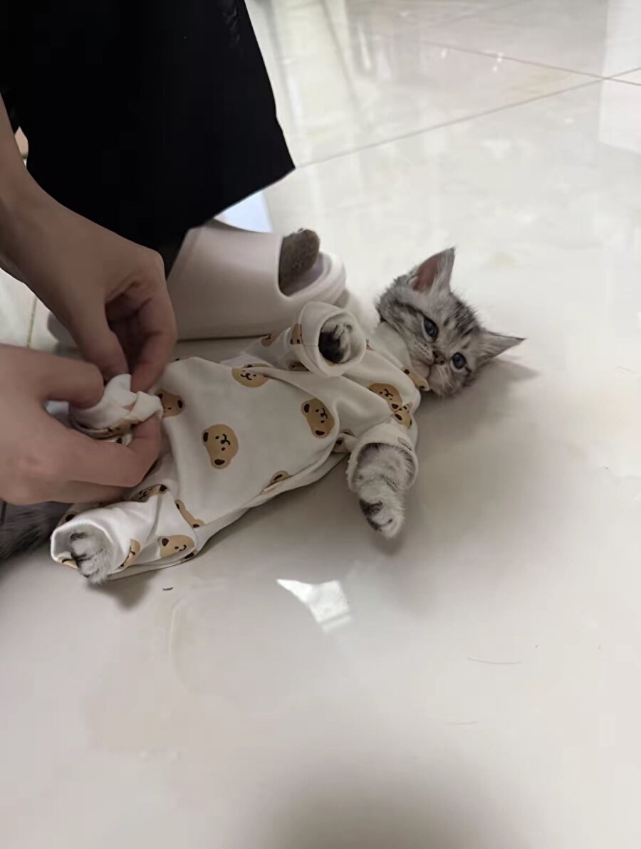 Link alabilir miyiz?