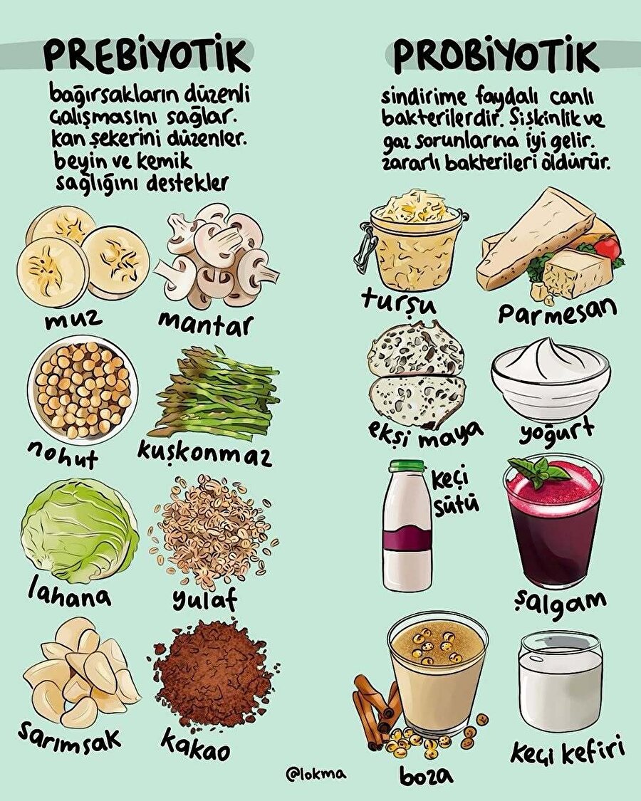 Prebiyotik ve probiyotik