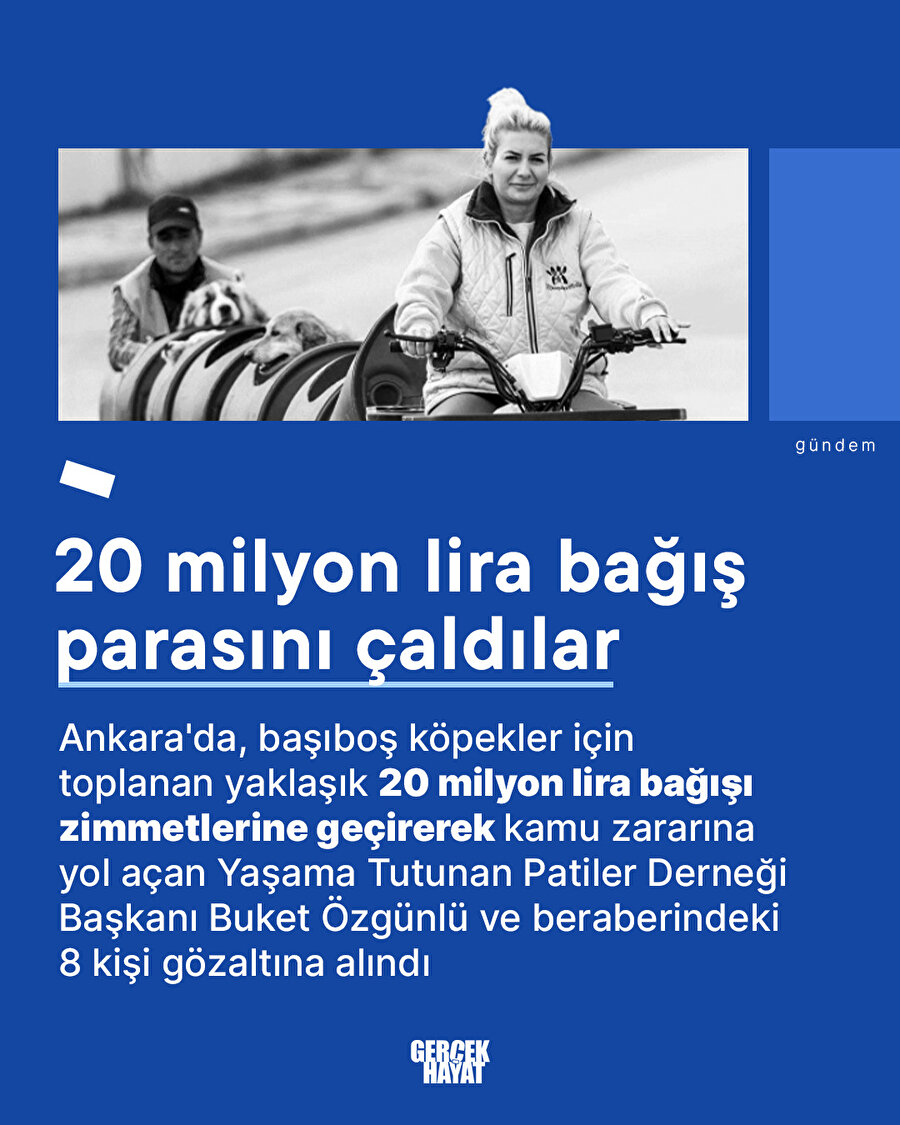 Adı köpeklerin tadı bunların