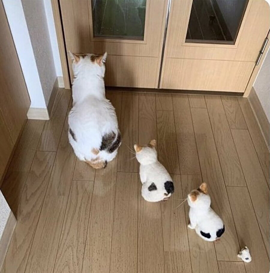 Ben ve powerbanklerim