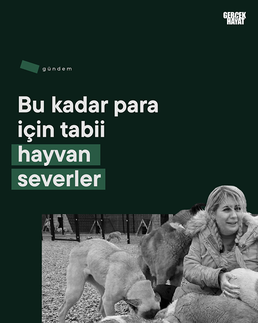 Meğer köpeği değil parayı seviyorlarmış