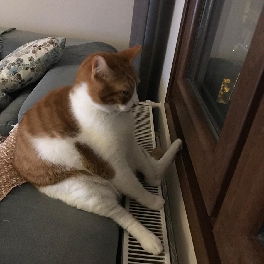 Ne derdin var söyle çözeriz