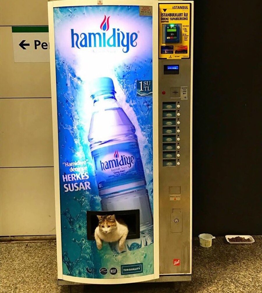 Aradığımız hizmet