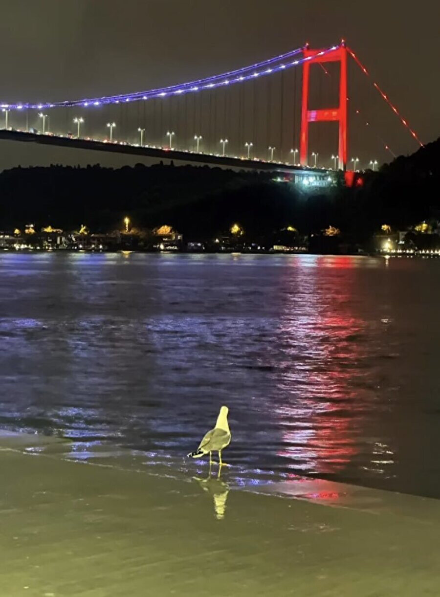 Benim yalnızlık seviyesi