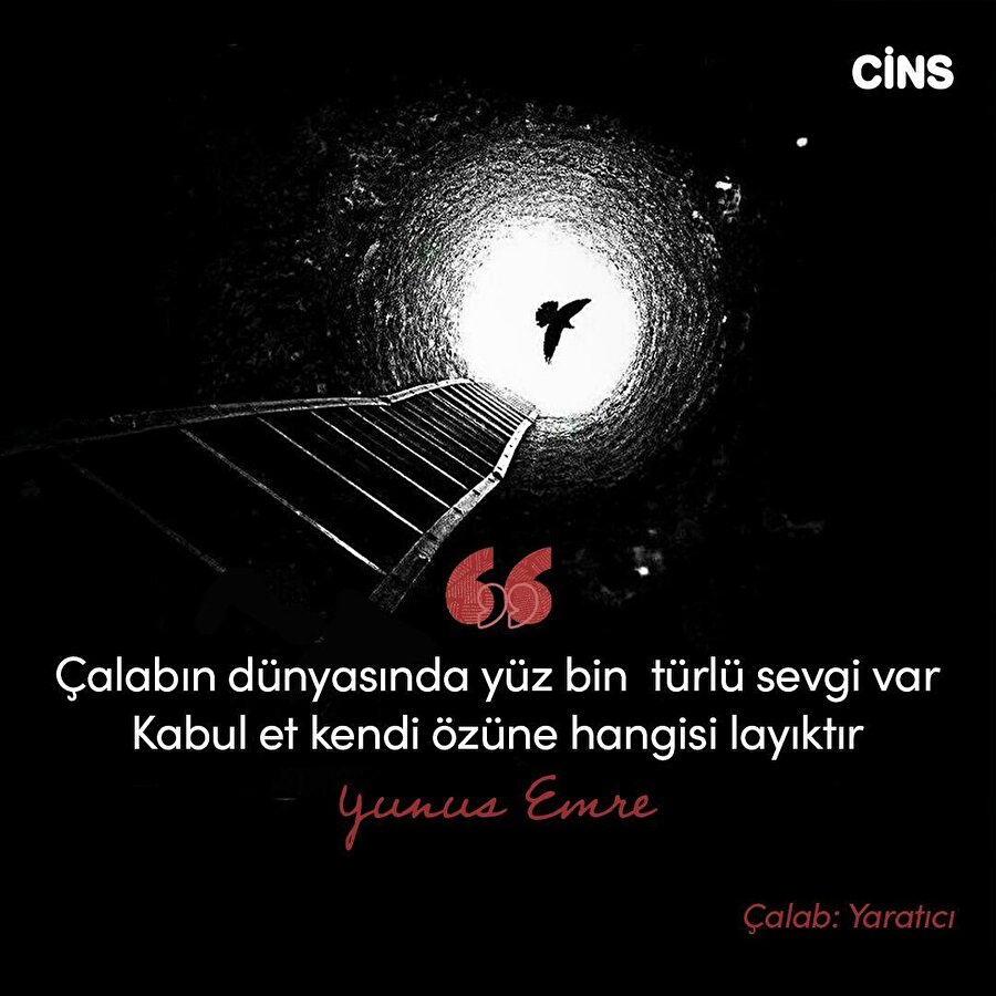 Yunus Emre'den sevgiye dair