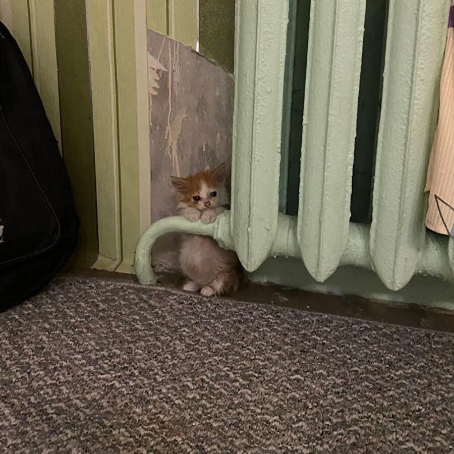 Hava bir derece daha soğursa dönüşeceğimiz kişi